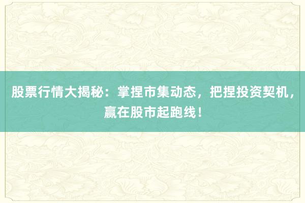 股票行情大揭秘：掌捏市集动态，把捏投资契机，赢在股市起跑线！