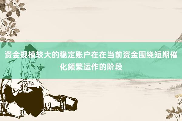 资金规模较大的稳定账户在在当前资金围绕短期催化频繁运作的阶段