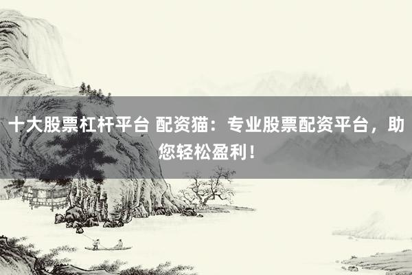 十大股票杠杆平台 配资猫：专业股票配资平台，助您轻松盈利！