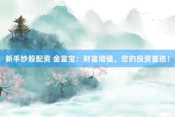 新手炒股配资 金富宝:财富增值,您的投资首选!