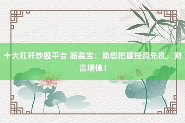 十大杠杆炒股平台 股鑫宝：助您把握投资先机，财富增值！